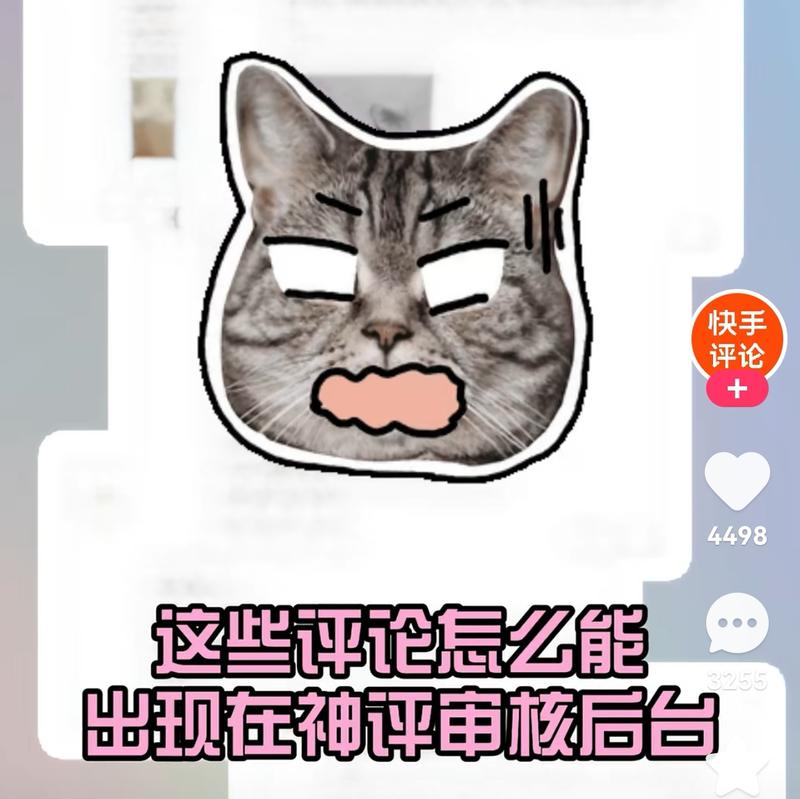 快手评论区也是有机会出…#情报-搞钱线报📢论坛-网创交流-优创圈